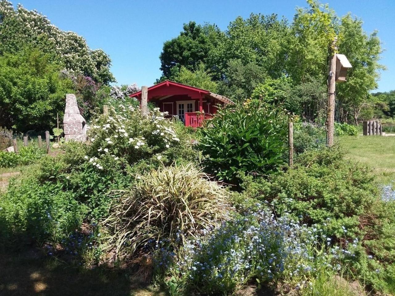 Sehlen Ruhige Fewo Im Gruenen Mit Balkon, Terrasse Und Grossem Garten 아파트 외부 사진